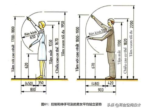 人的寬度|室內設計人體工學的重要性，從5大居家空間了解人體。